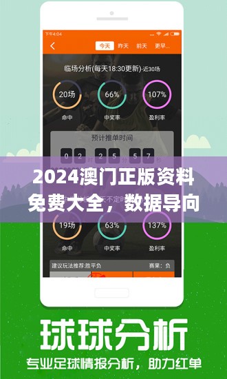 2024年新澳门王中王免费-词语释义解释落实