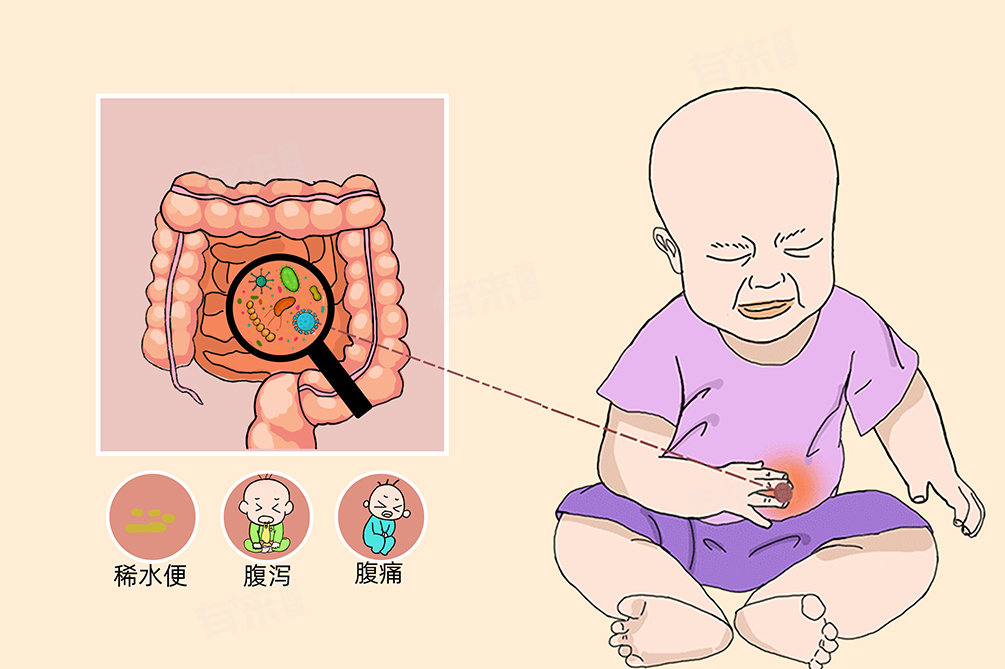 两个月宝宝肠炎恢复的时间与应对策略