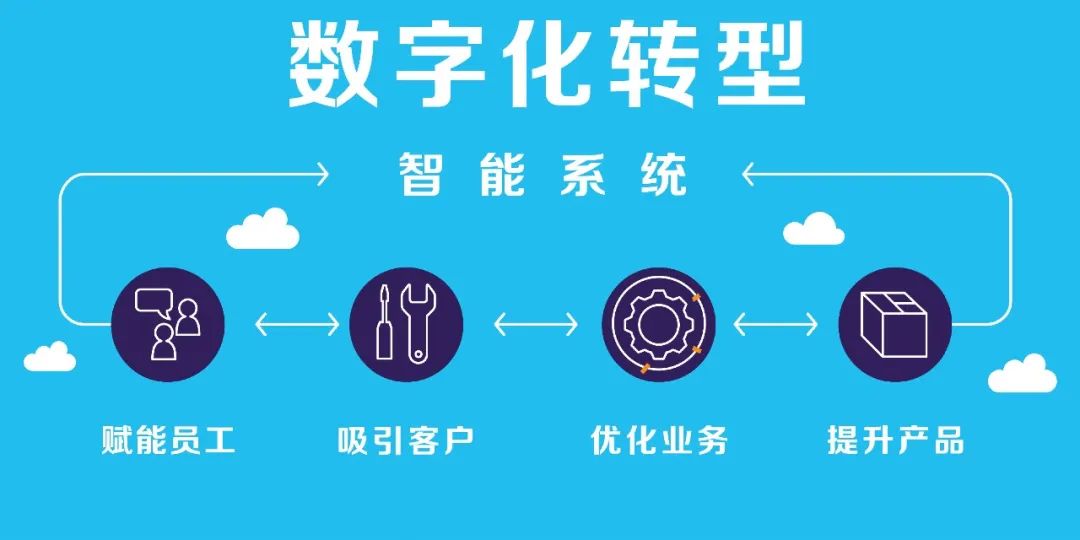 广东纯态数字化有限公司，引领数字化转型的新力量