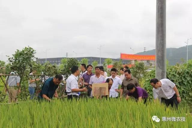 广东奥良种业有限公司，引领种业革命，铸就绿色未来