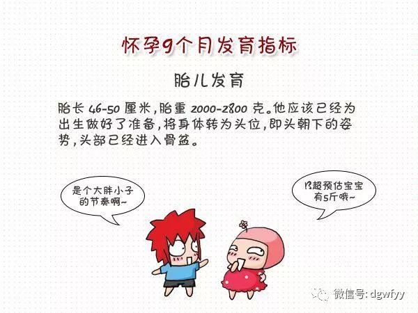 探究胎儿双顶径，怀孕九个月的生理变化与发育指标