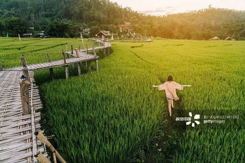 江苏农业科技水平，繁荣发展的历程与前瞻