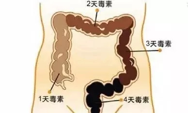 十个月宝宝的成长里程碑，正常肋骨图及其发育解析