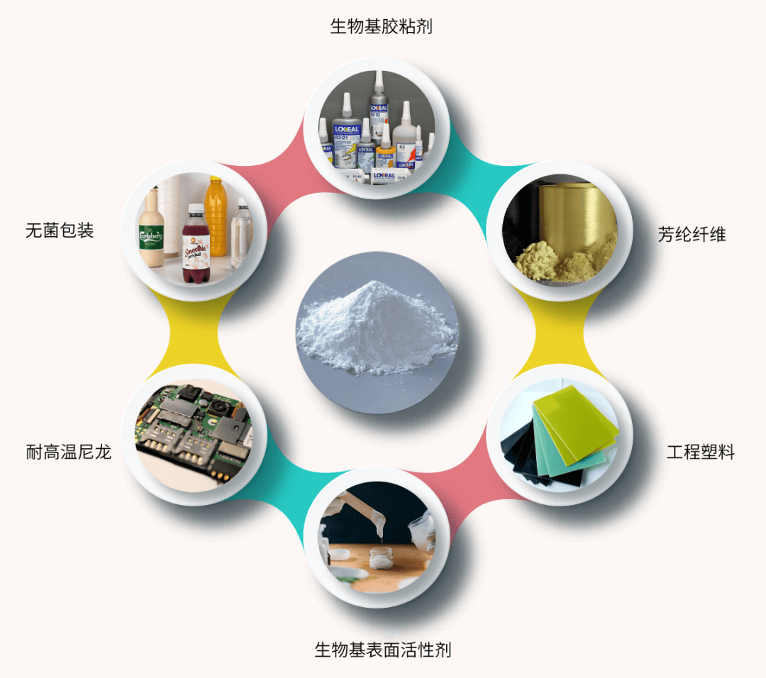 江苏博彩洁净科技，引领洁净技术革新，助力产业高质量发展