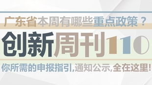 广东肉食有限公司，传统与现代融合的企业典范