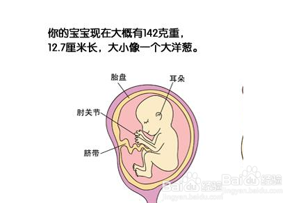 孕五个月，右侧睡的舒适与考量