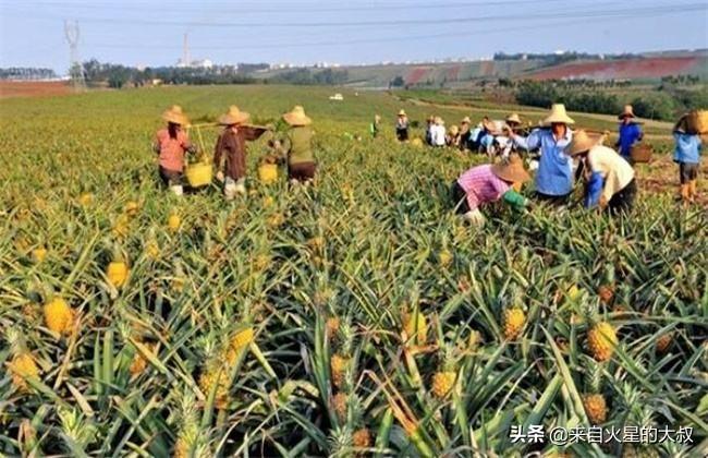 九个月宝宝的水果饮食指南，哪些水果适宜吃？